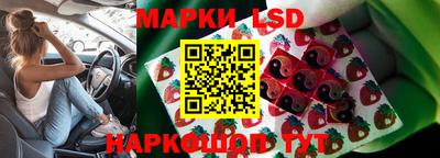 прущие грибы Гусиноозёрск