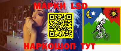 гидропоника Гусь-Хрустальный