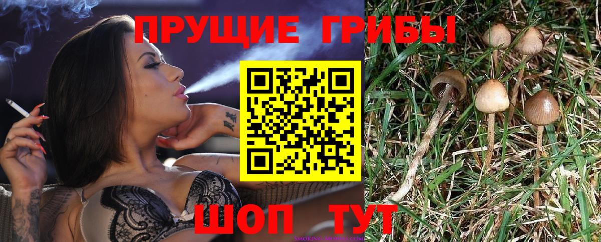 Галлюциногенные грибы GOLDEN TEACHER Сарапул